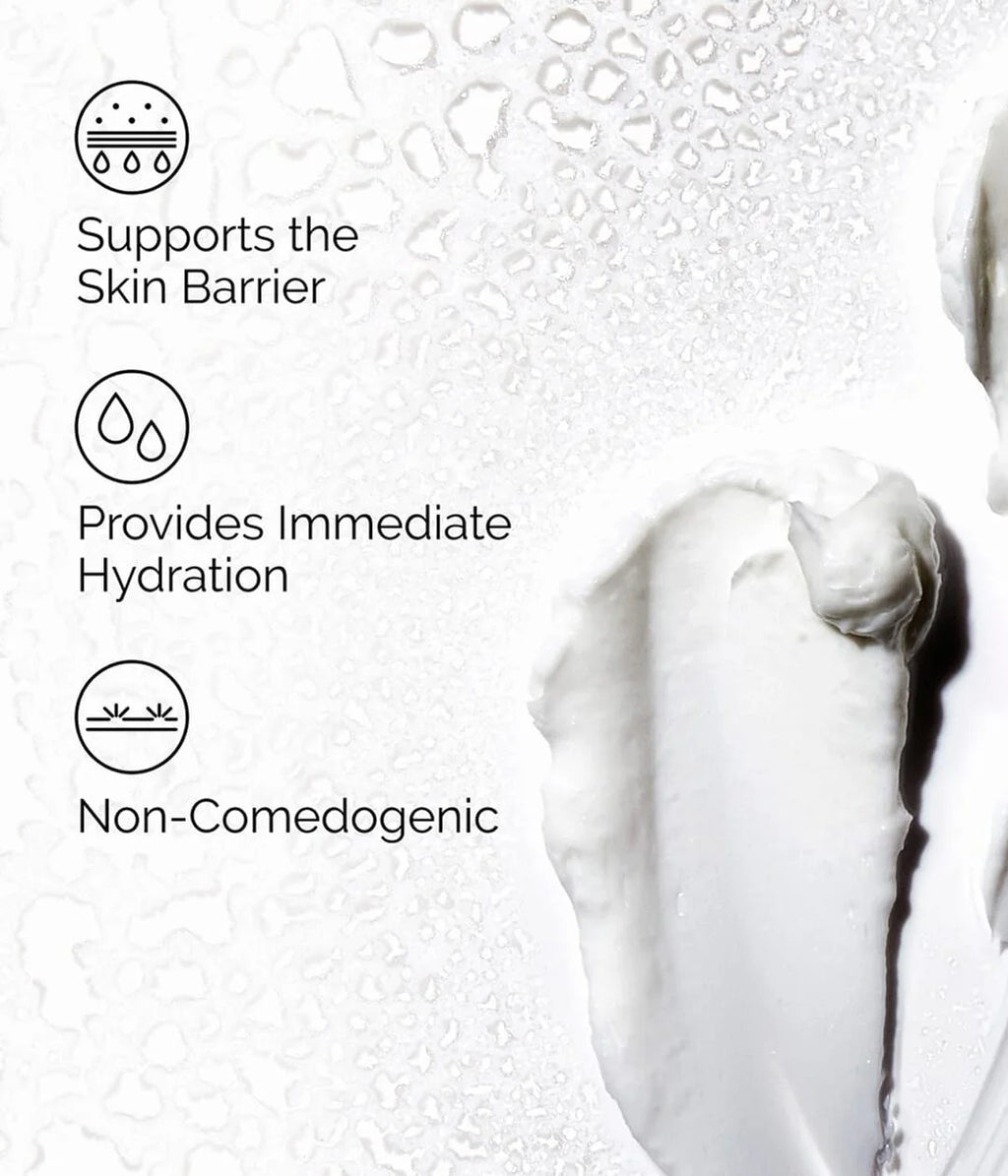 THE ORDINARY – Natural Moisturizing Factors + HA
